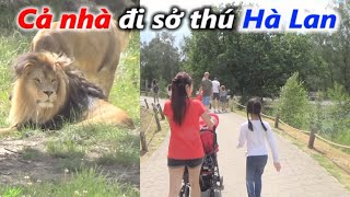 Mời cả nhà đến sở thú Hà Lan cùng mình nhé