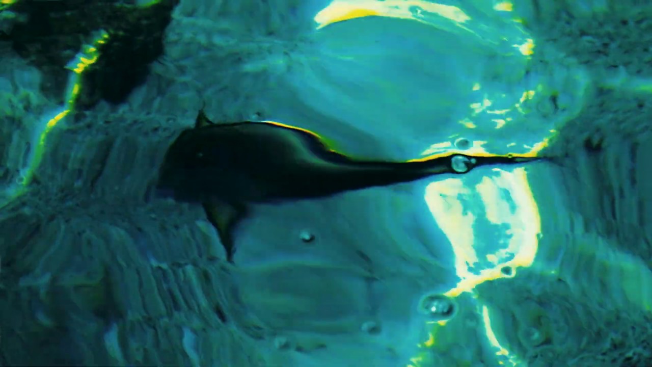 Guarda Music is The Reflection Of Soul -MITROS- Ceé su YouTube Guarda Music is The Reflection Of Soul -MITROS- Ceé su YouTube
