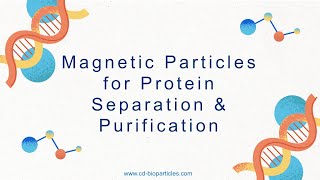 How Magnetic Nanoparticles Revolutionize Protein Purification Science Explained