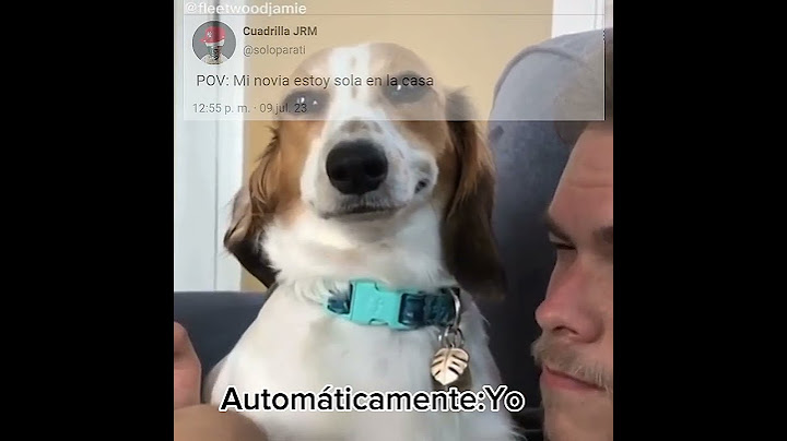 El perro sonrisa