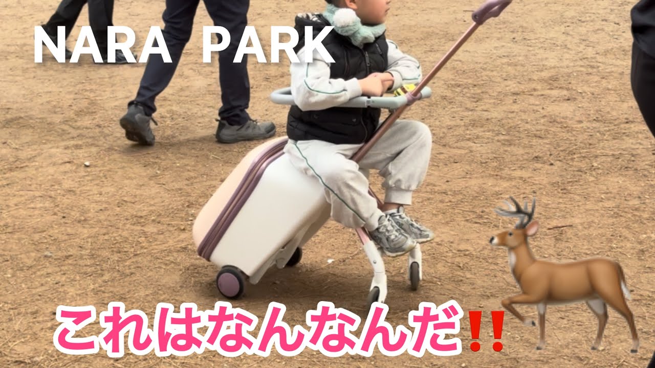 これはなんなんだ‼️不思議な乗り物❓NARA  PARK🦌