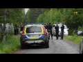 Uppgifter om björn i närheten av sökandet efter försvunna flickan