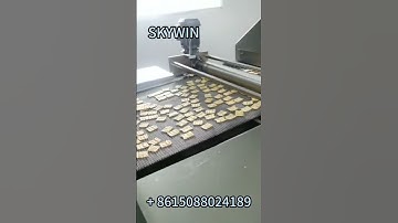 Cracker Biscuit Production Line #biscuit #cookies #factorymachines #machine #productionline #cracker