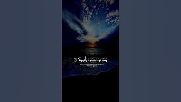 #القرآن_الكريم #تلاوة_خاشعة #صوت #ياسر_الدوسري #الجميلة #quran #راحة_نفسية