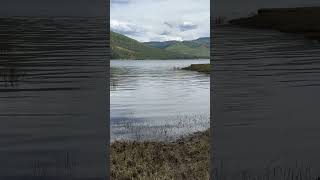 Lake vallecito #colorado #lakevallecito #vallecito