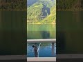 Switzerland 🇨🇭 #travel #turismo #switzerland #nature #shorts #shortvideo #shortsvideo #shortsyoutube