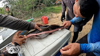 amigos del bajo camoa. campeonato de pesca. ganamos un puesto!