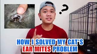 CAT EAR MITES SOLUTION