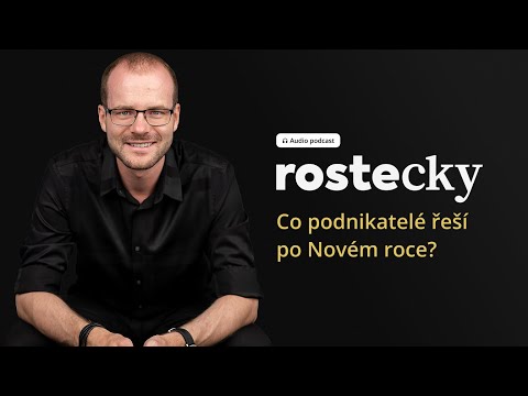 Co řeší podnikatelé na začátku roku? Zkušenosti z mentoringu | Jiří Rostecký