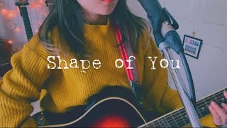 Shape Of You Cover (+Japanese Lyrics/和訳) | Leigh-Anne’s Song Diary