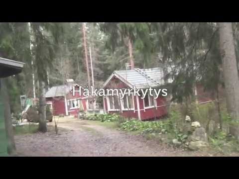 Video: Häkämyrkytys Koirilla