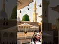 mashallah kitni .....