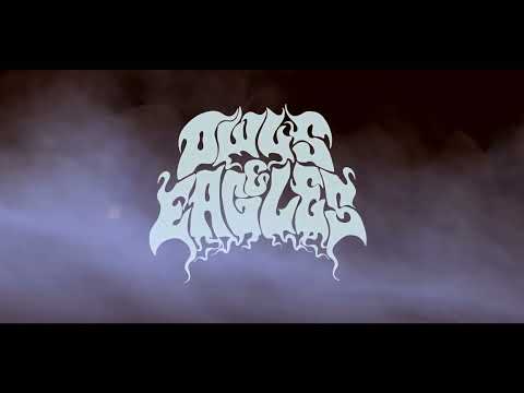Owls & Eagles - New Expectations (Official Music Video)