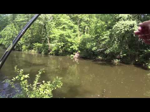 Vídeo: Você pode pescar no rio schuylkill?