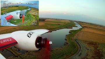 SN-L and Finwing Albabird