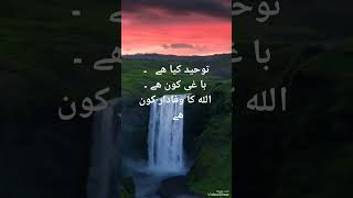 توحید کیا ھے   ۔  با غی کون ھے ۔  الله کا وفادار کون ھے