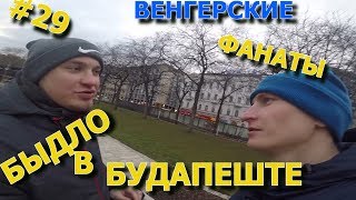 #29 В БУДАПЕШТ НА 1 ДЕНЬ. ВЕНГЕРСКИЕ ФУТБОЛЬНЫЕ ФАНАТЫ.