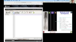 CC3D Workshop Module 4.1: Dynamic Network Control Models in CompuCell3D August 5th 2021 Profile