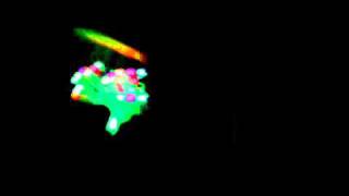 [Steez] AddiE Watermelon Glove Set Light Show [OrbitLightShow.com]