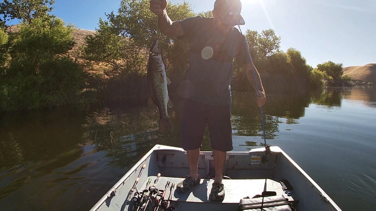 Los Banos Creek Ca top water & bluegill fishing