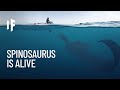 What If Spinosaurs Were Still Swimming Today?