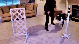 Dog Agility Rear Cross Exercises Part 2