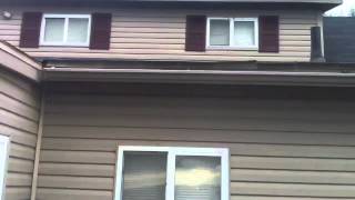Stink Bug infestation 2012 Morgantown West Virginia