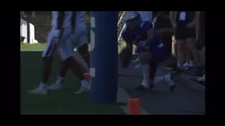 Crosley MacEachen University of St. Francis Football Highlight