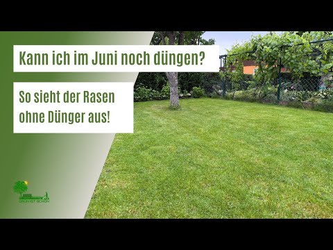 Was fehlt dem