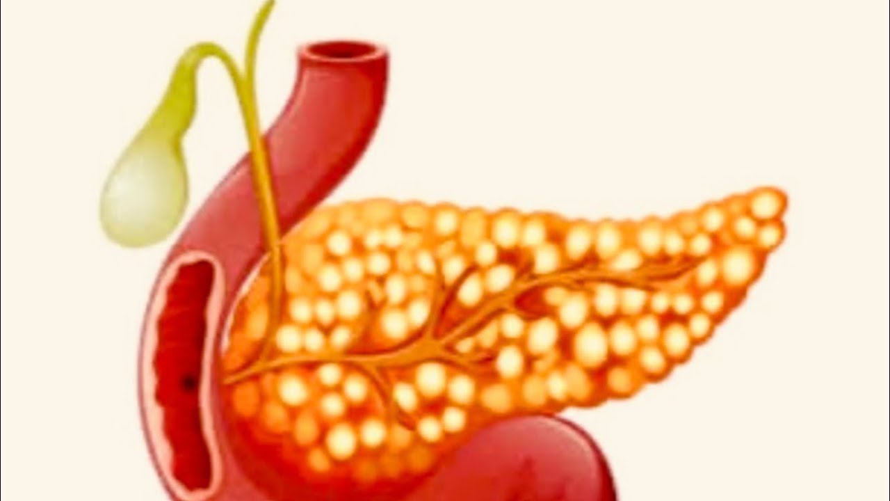 السكري١ وعلاقته بالتوكل