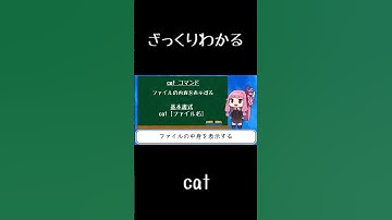 【10秒Linux】ざっくりわかる「cat」#shorts