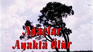 Agaclar Ayakta Olur Tiyatro Oyunu Tiyatro Oyun Bilet