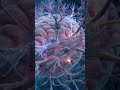 how fast does the brain think?   the astonishing speed of human thought