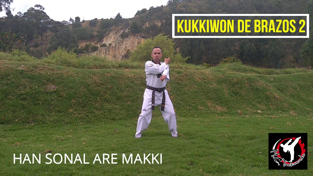 BÁSICOS DE MANOS O KUKKIWON 1, 2 Y 3.  TAEKWONDO