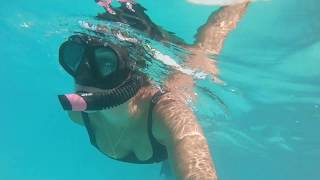 Bermuda Bikini Diving |Mermaids | Vlog 5