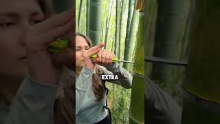 ¿Cómo sobrevivir en la jungla sin agua?
