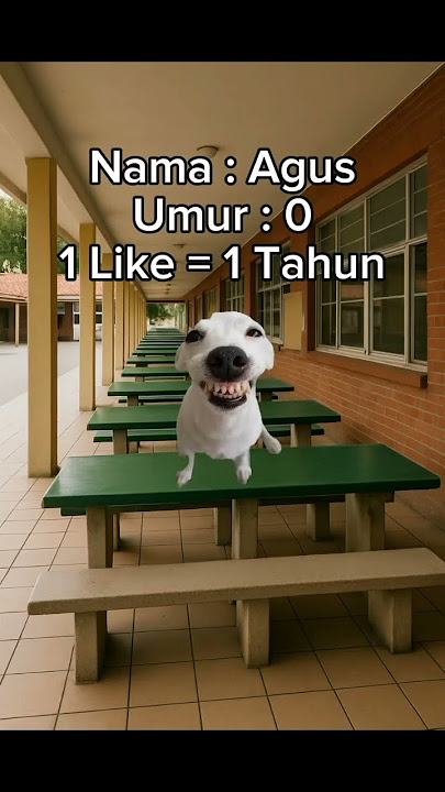 berapa umur Agus sekarang?? 😹😹 #cat #meme #funny #catlovers #cute #memecat #viral #memes