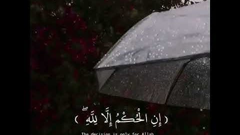 آيات قُرآنيه 🤍🤍🤍