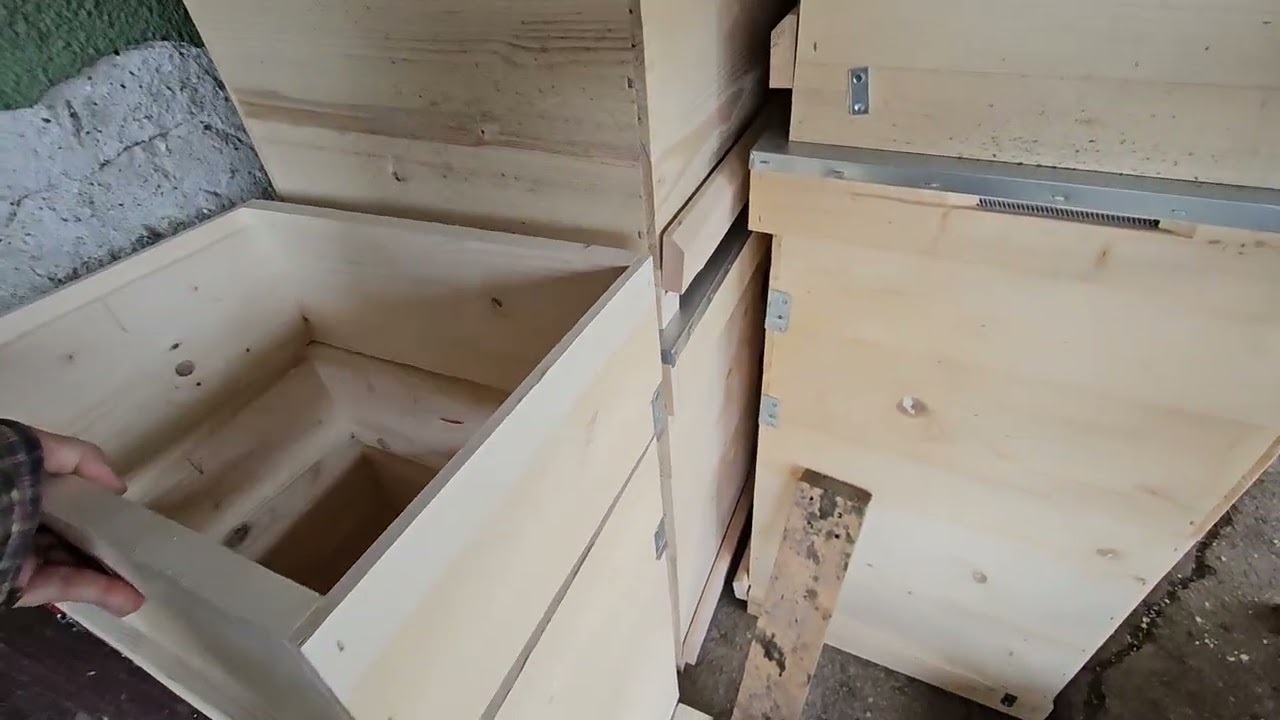 Proiect nou - stupi Layens