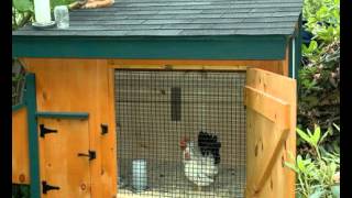 chicken coop coops plans unique cheap easy build designs pdf