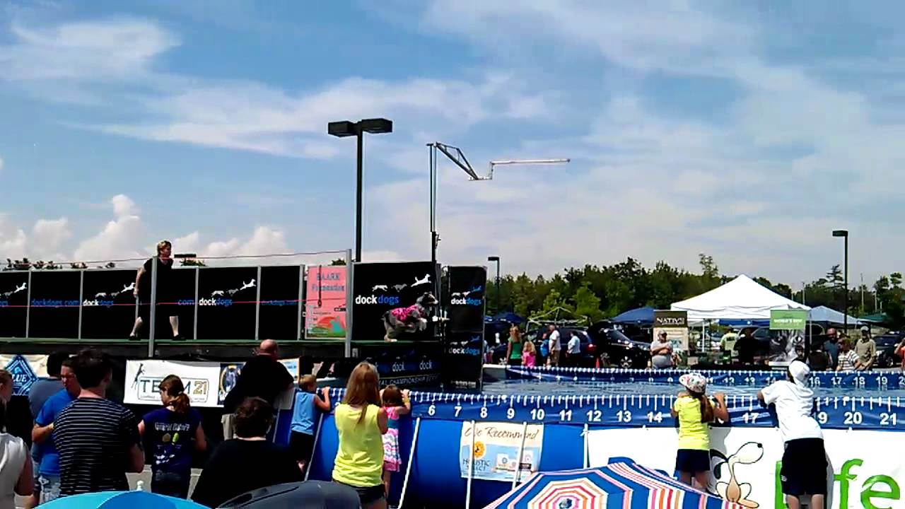 Dock Dogs Scarborough Maine at Pet Life June 23 2012 Video 8 Slow