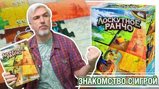 Знакомство с настольной игрой 