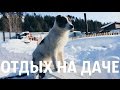 Отдых на даче / Сибирские выходные