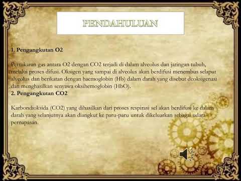  PPT  Fisiologi  Hewan  tentang Respirasi YouTube