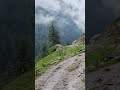 Beautiful valley Walk and trail! inspiration! #viral #foryou #inspire #trail #kashmir #shortsfeed