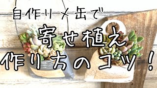 【多肉寄せ植え】自作リメ缶バックに多肉を寄せ植え