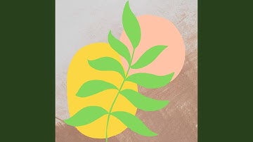 Sprightly Backdrops for Relaxing Light