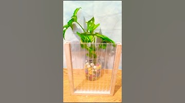 NO.55 PLAYING TETRIS BLOCK PUZZLE GAMES #viral #satisfying #tetris #trending #shorts#asmr