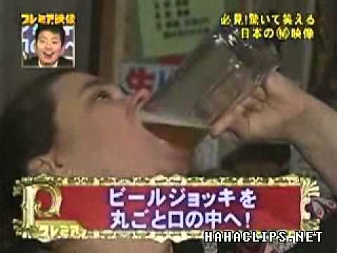 Herman recommend best of fat swallows chick Herman recommend best of fat swallows chick
