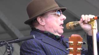 Van Morrison By His Grace 2016 New Orleans Jazz Festival